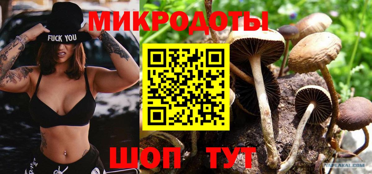 Галлюциногенные грибы Magic Shrooms Мытищи